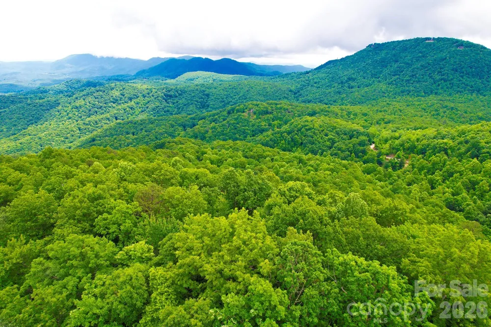 215 Laurel Mountain Trail #10 Black Mountain, NC 28711