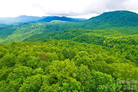 215 Laurel Mountain Trail #10