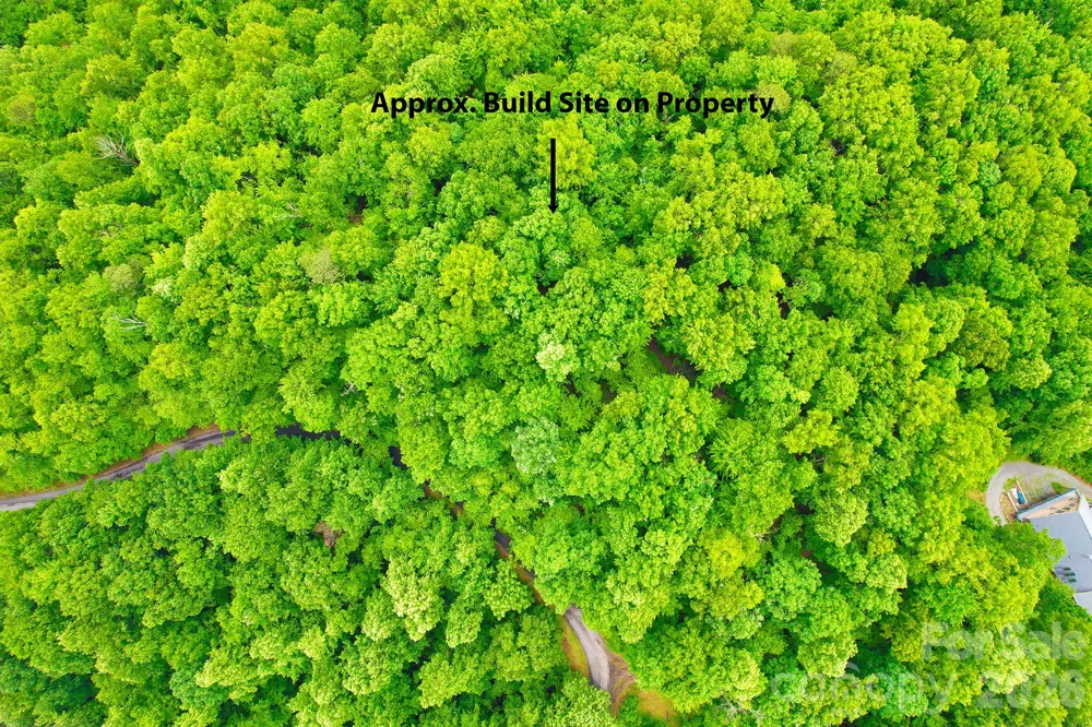 215 Laurel Mountain Trail #10 Black Mountain, NC 28711