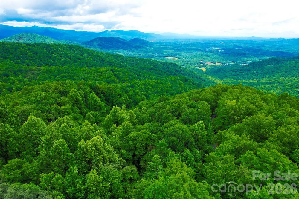 215 Laurel Mountain Trail #10 Black Mountain, NC 28711