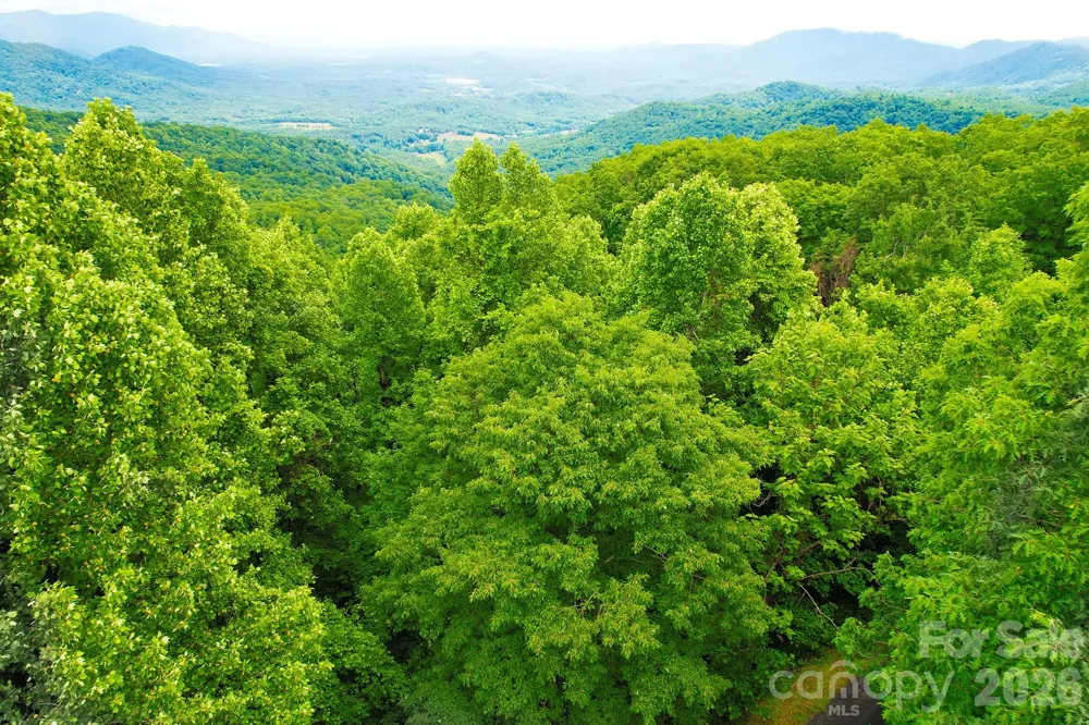 215 Laurel Mountain Trail #10 Black Mountain, NC 28711