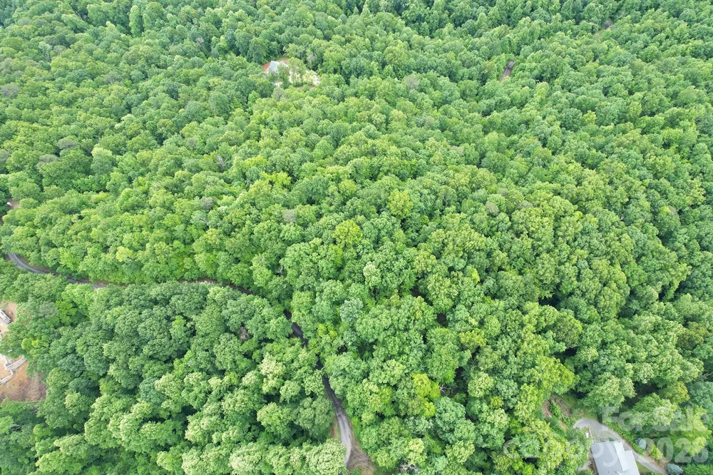 215 Laurel Mountain Trail #10 Black Mountain, NC 28711