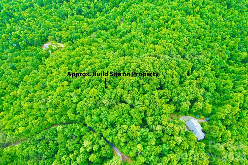 215 Laurel Mountain Trail #10 Black Mountain, NC 28711