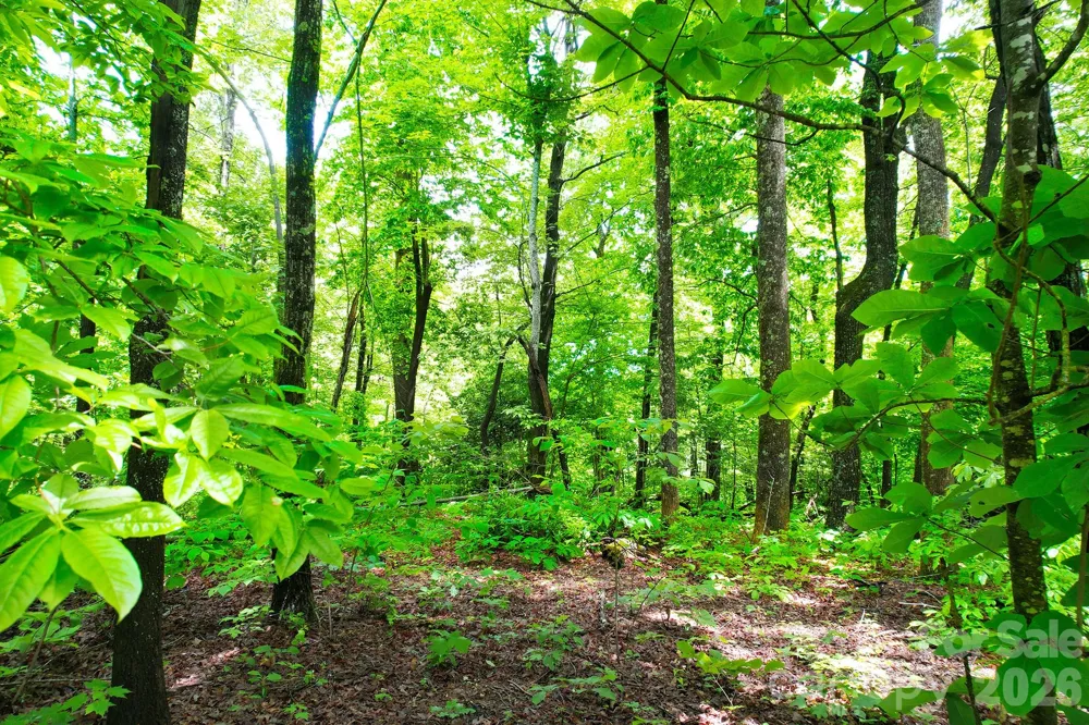 215 Laurel Mountain Trail #10 Black Mountain, NC 28711