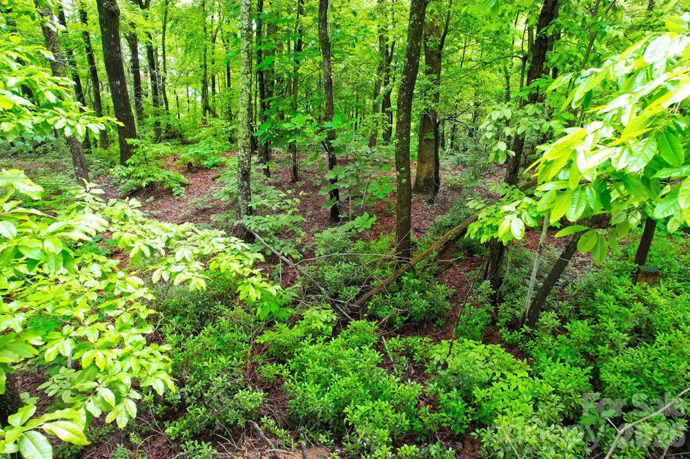 215 Laurel Mountain Trail #10 Black Mountain, NC 28711