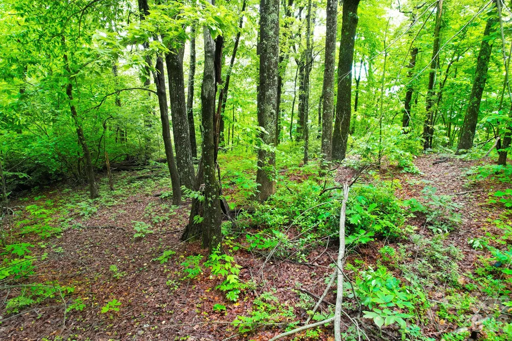 215 Laurel Mountain Trail #10 Black Mountain, NC 28711