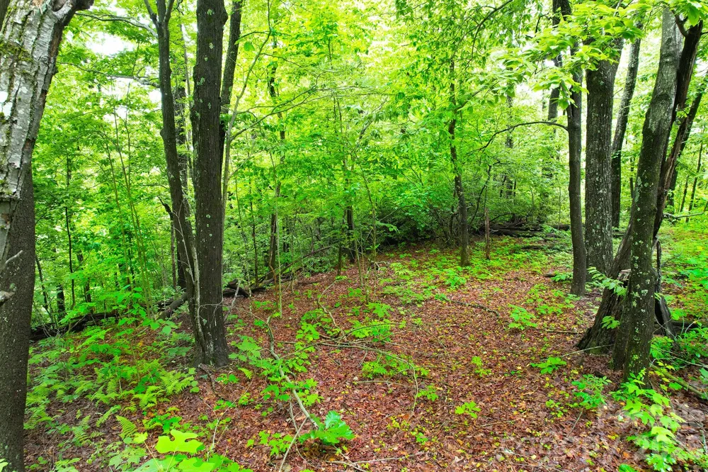 215 Laurel Mountain Trail #10 Black Mountain, NC 28711
