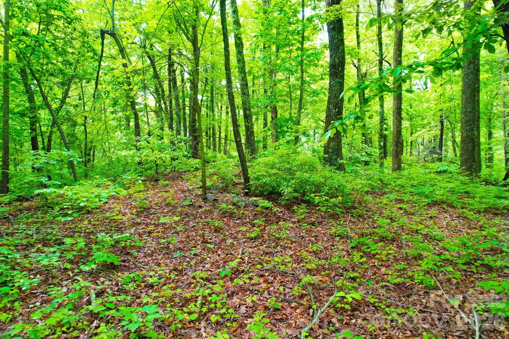 215 Laurel Mountain Trail #10 Black Mountain, NC 28711