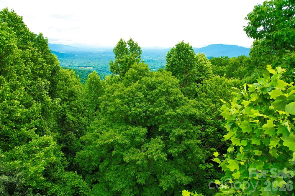 215 Laurel Mountain Trail #10 Black Mountain, NC 28711