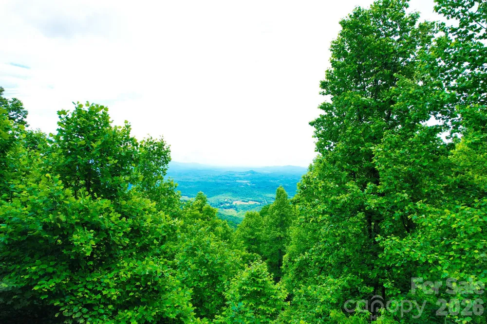 215 Laurel Mountain Trail #10 Black Mountain, NC 28711