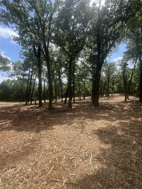 County Rd 2980