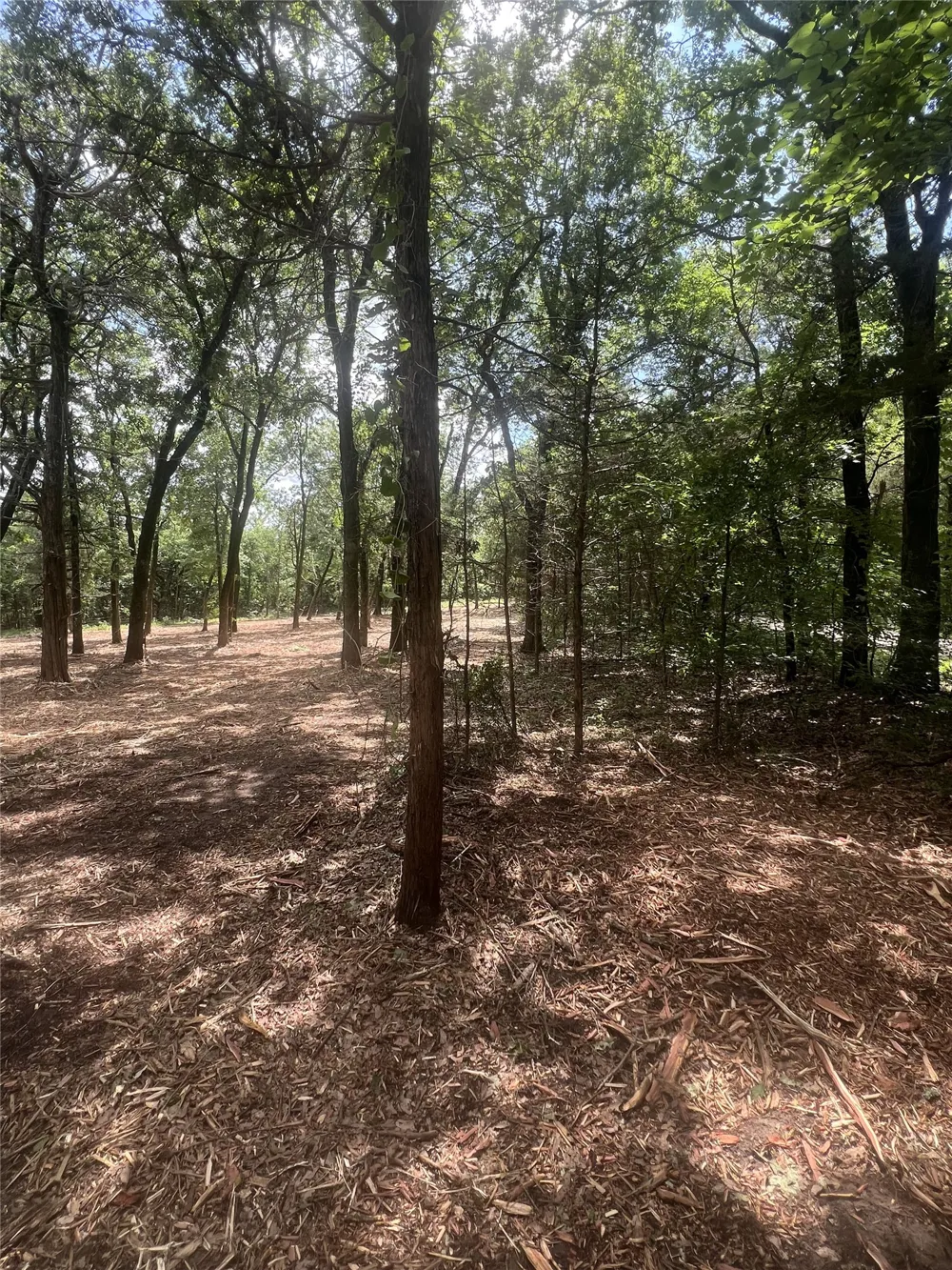County Rd 2980 Windom, TX 75492