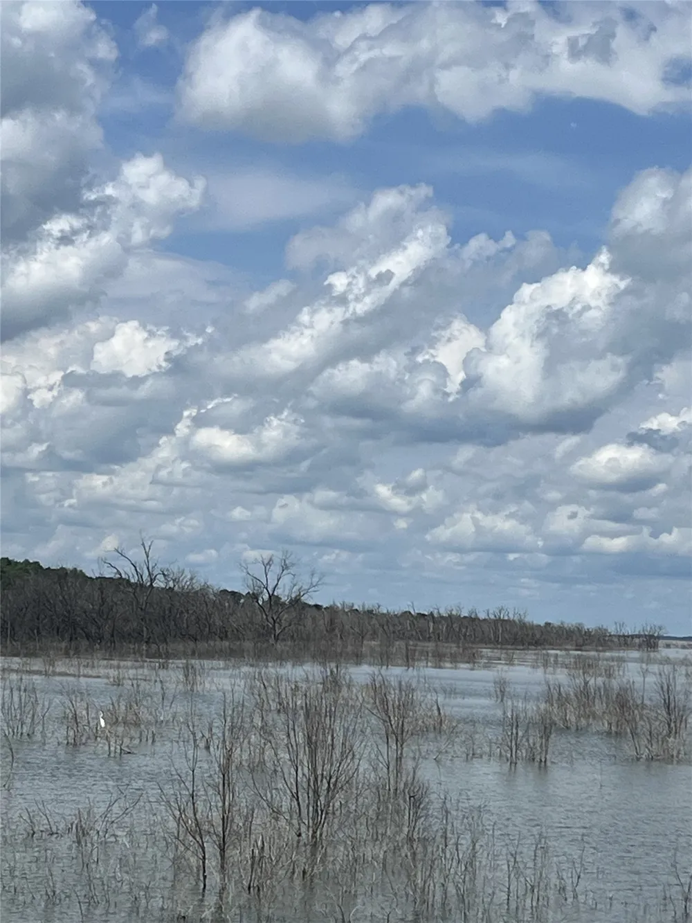County Rd 2980 Windom, TX 75492