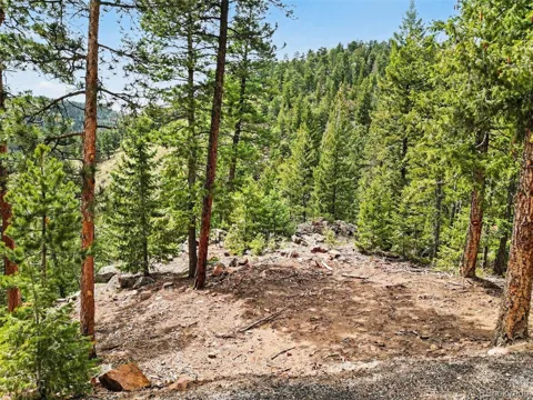 7141 Timber Trail Road