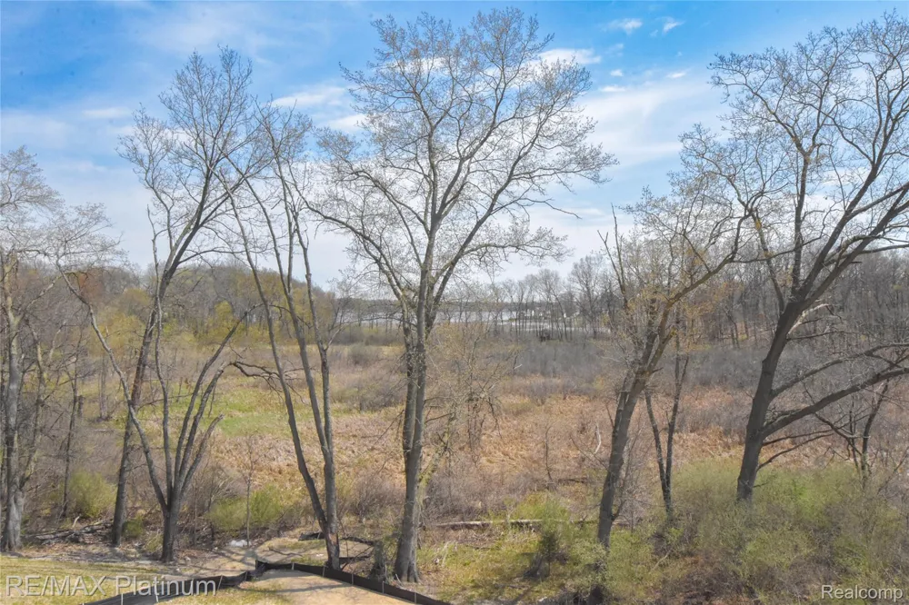 4570 Stillmeadow Genoa Township, MI 48843