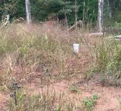 21030 Cemetery Road Grantsburg, WI 54840
