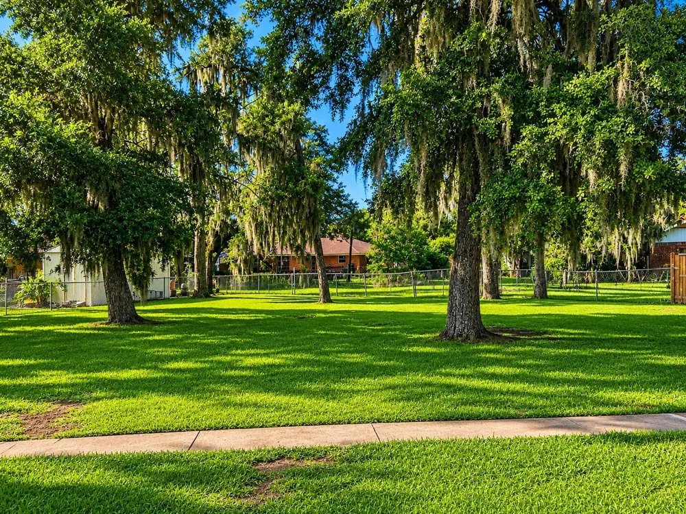 131 Daisy Street Lake Jackson, TX 77566