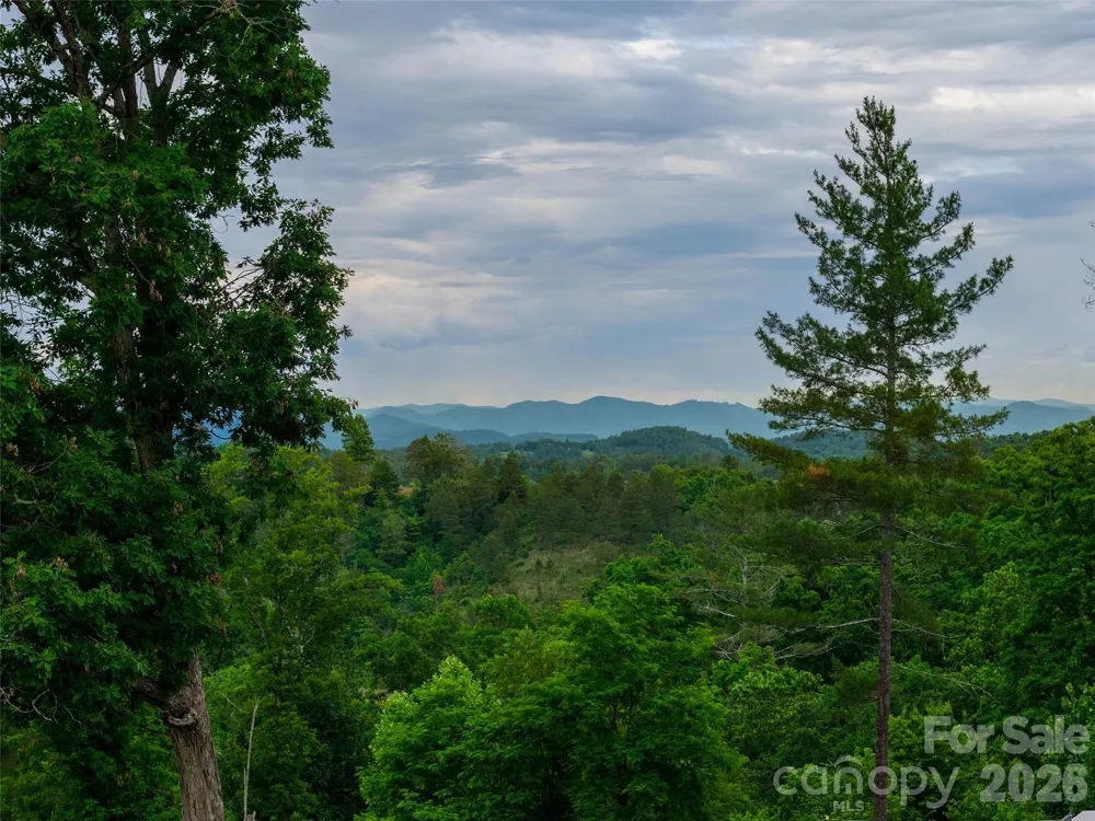 21 Joy Hughes Lane Leicester, NC 28748