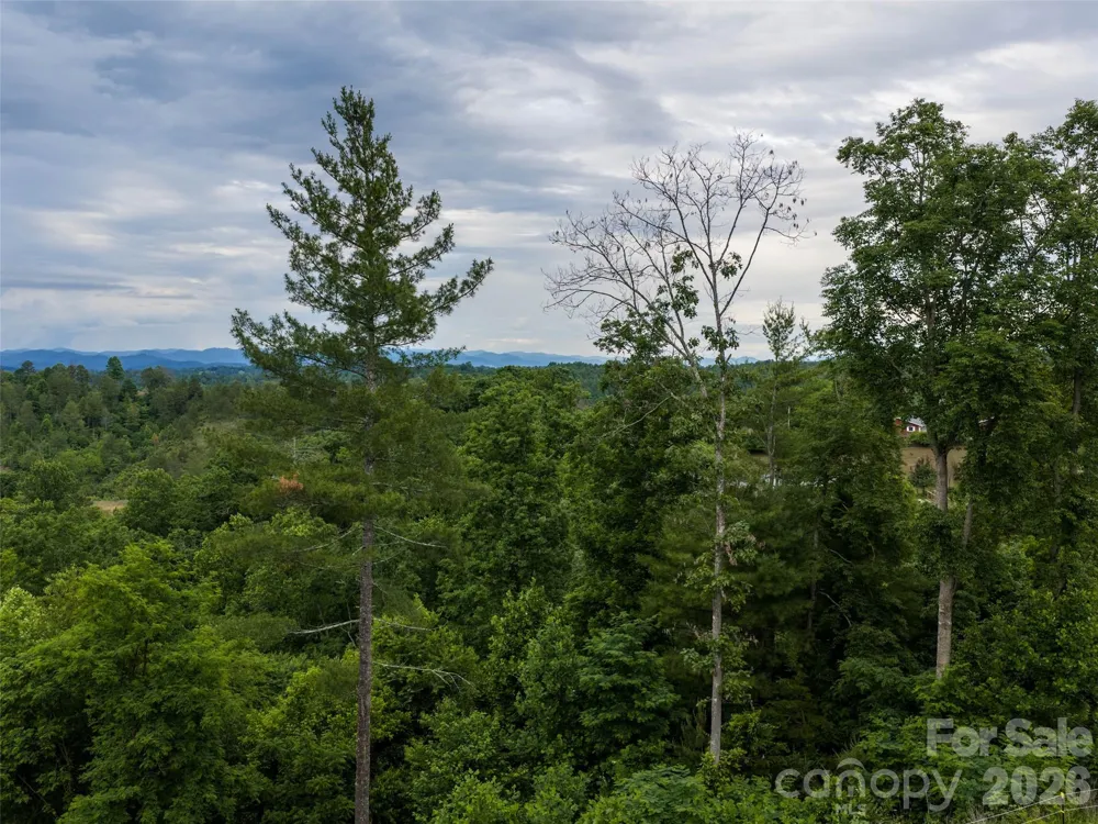 21 Joy Hughes Lane Leicester, NC 28748