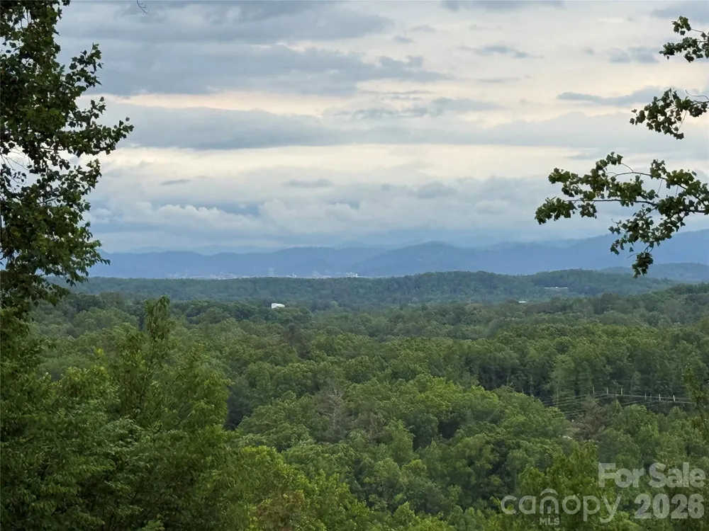 16 Ridge Pine Trail Arden, NC 28704