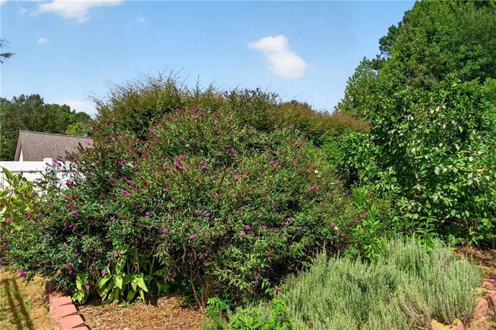 241 Red Bud Road Jefferson, GA 30549