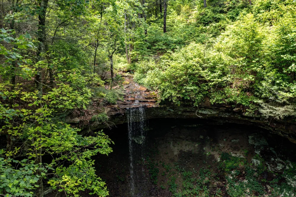 196 Big Bluff View Pikeville, TN 37367