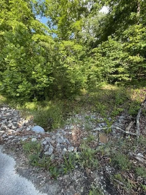 196 Big Bluff View Pikeville, TN 37367