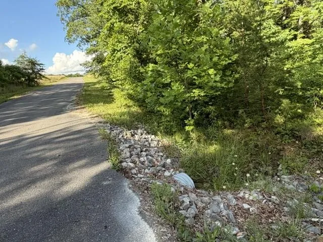 196 Big Bluff View Pikeville, TN 37367