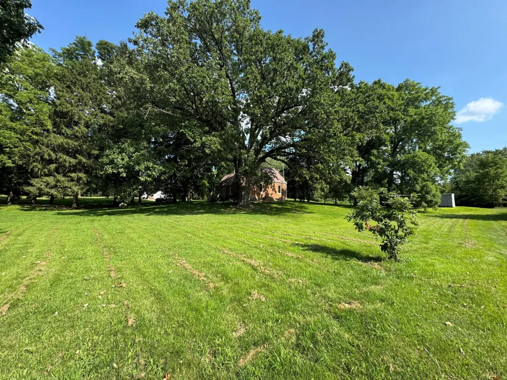 16683 Winters Road Grass Lake, MI 49240