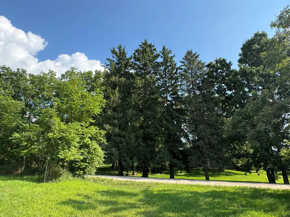 16683 Winters Road Grass Lake, MI 49240
