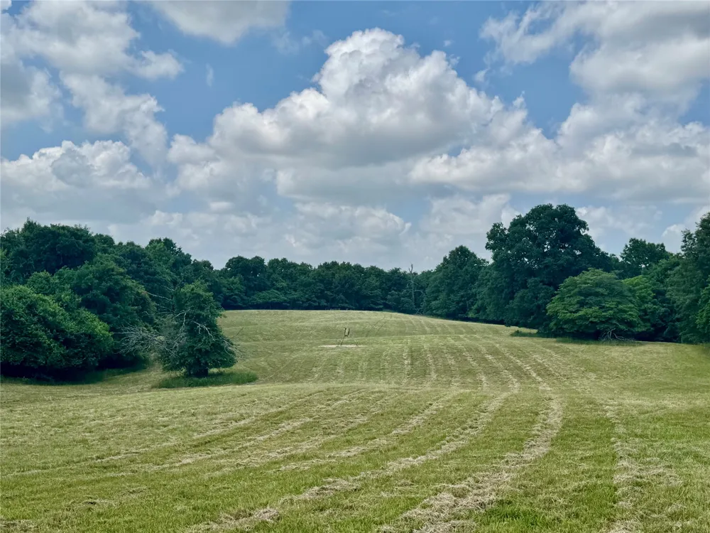 3893 Fm 906 E Powderly, TX 75473