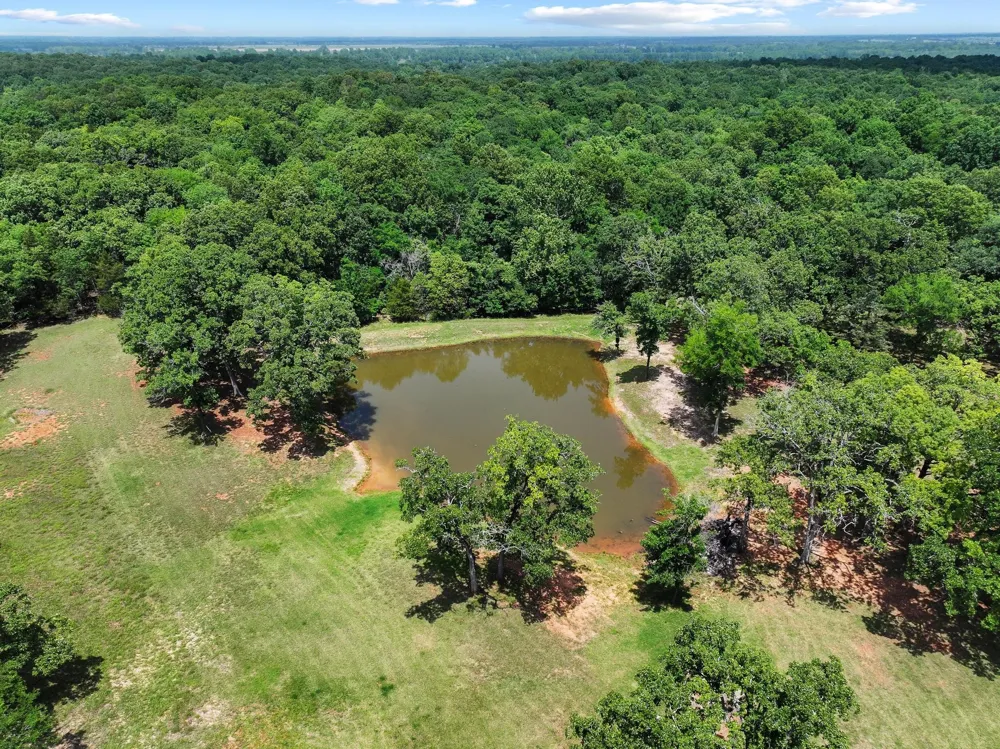 3893 Fm 906 E Powderly, TX 75473