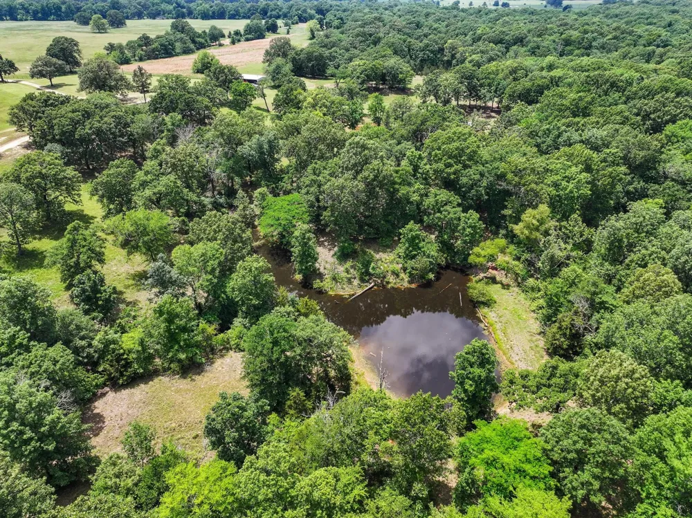 3893 Fm 906 E Powderly, TX 75473