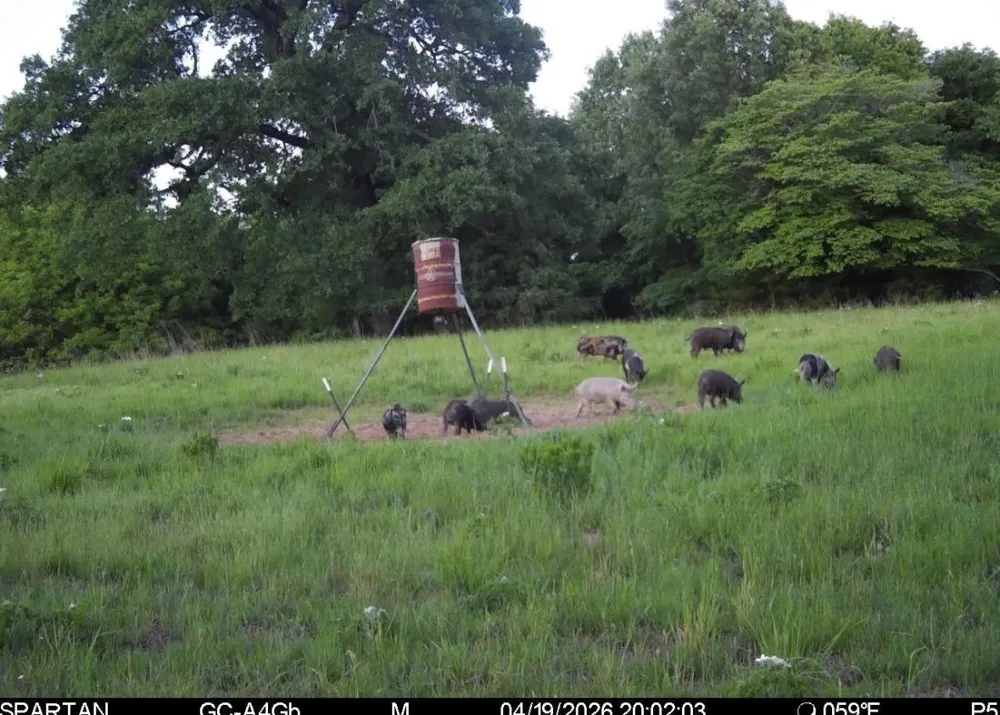 3893 Fm 906 E Powderly, TX 75473