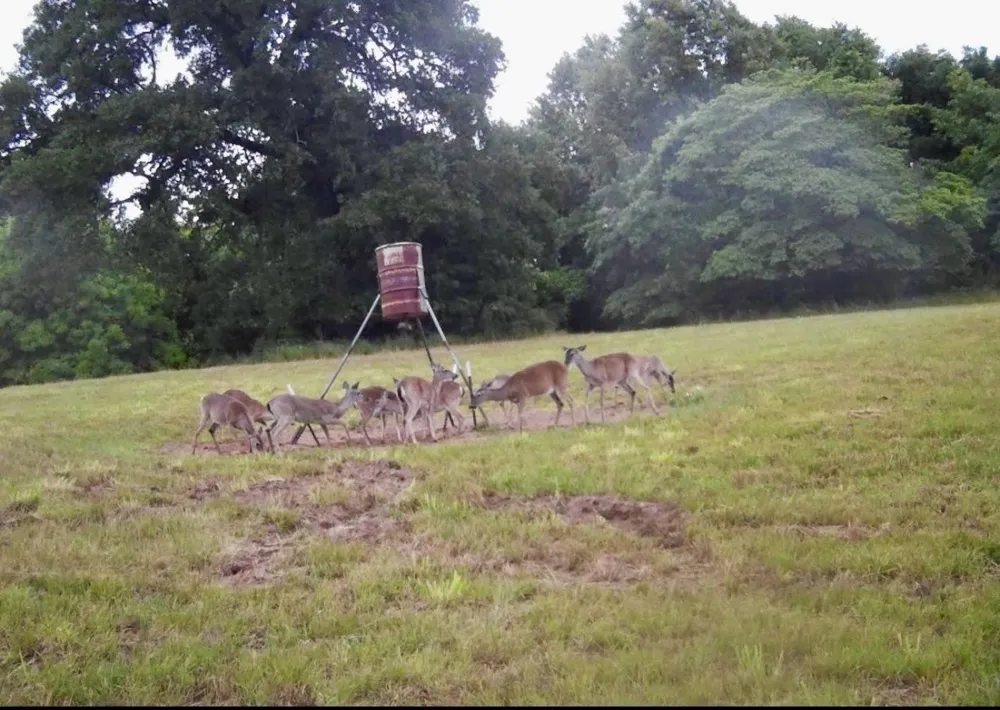 3893 Fm 906 E Powderly, TX 75473