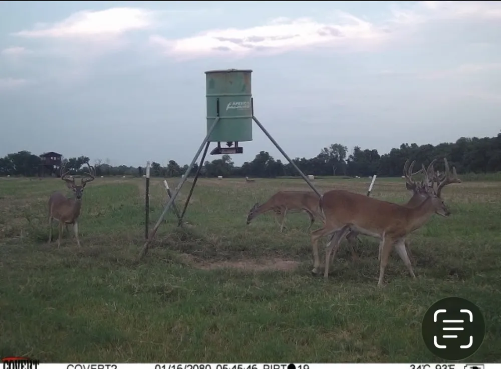 3893 Fm 906 E Powderly, TX 75473