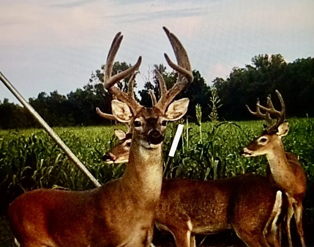 3893 Fm 906 E Powderly, TX 75473