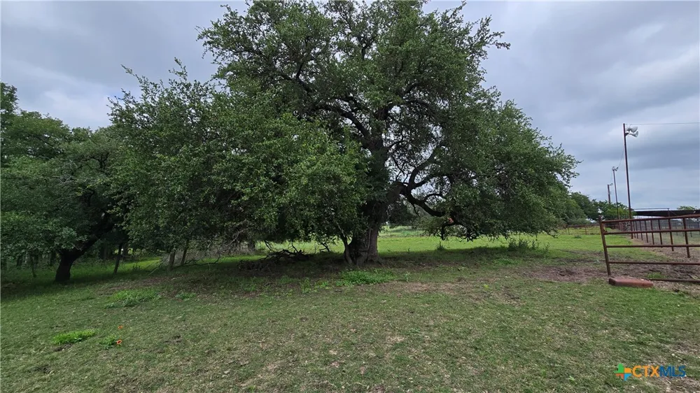 19706 Mclean Cemetery Road Rogers, TX 76569