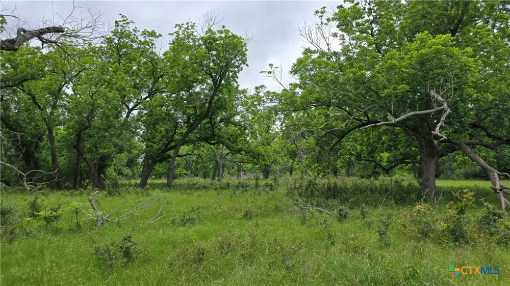 19706 Mclean Cemetery Road Rogers, TX 76569