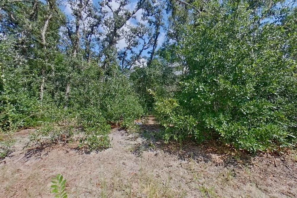 2907 W CAMILO DRIVE Citrus Springs, FL 34434
