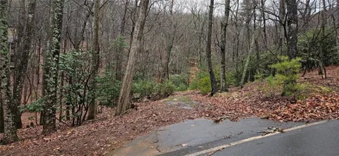 255 Woodland Trace