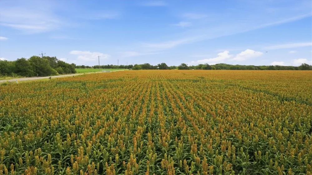 Lackey Rd Taft, TX 78390