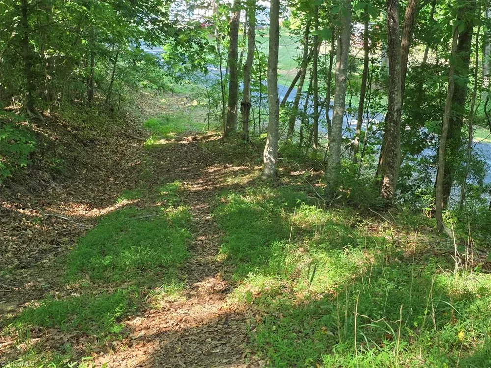 1055 Ed Booth Road Westfield, NC 27053