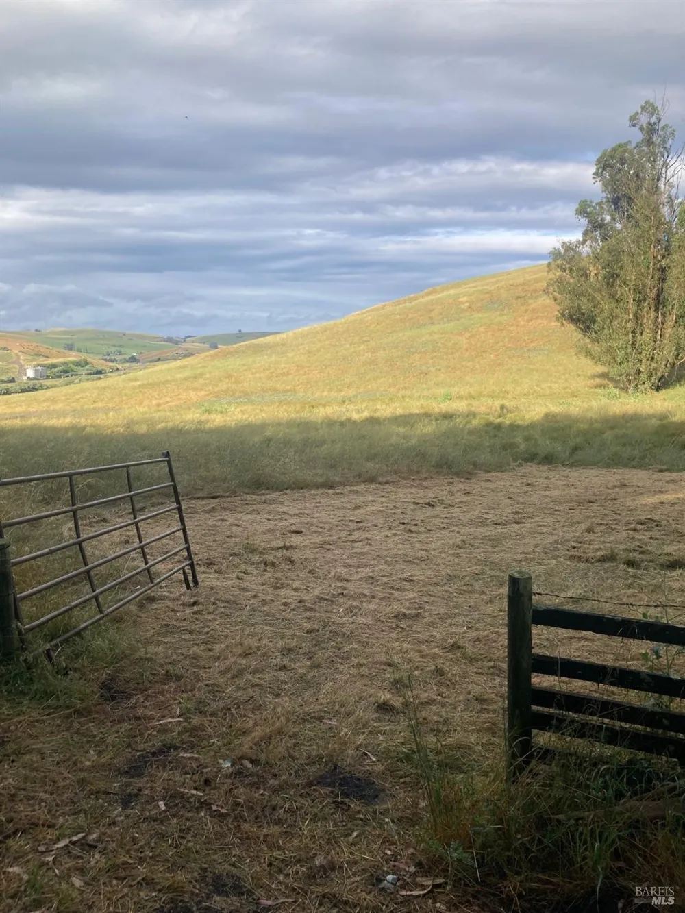 4855 Canfield Road Petaluma, CA 94952