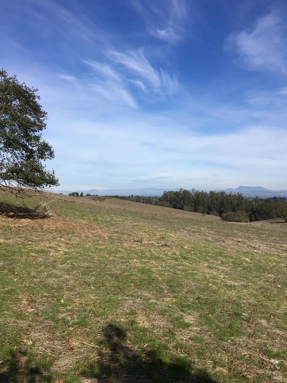 4855 Canfield Road Petaluma, CA 94952