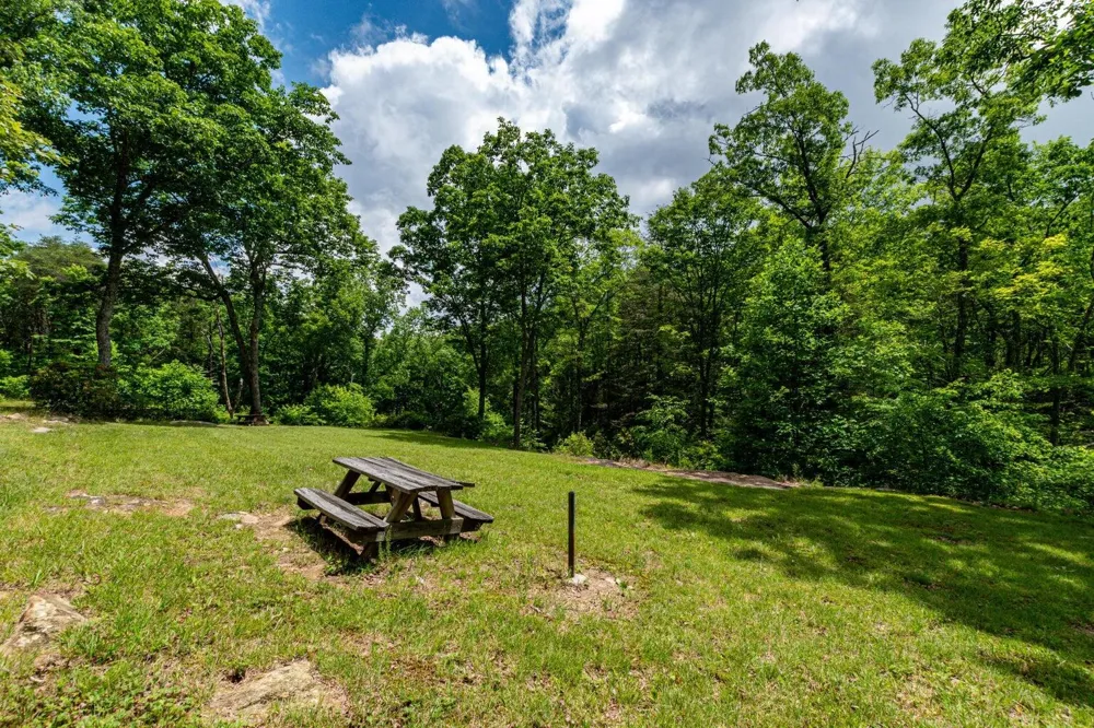 196 Big Bluff View Pikeville, TN 37367