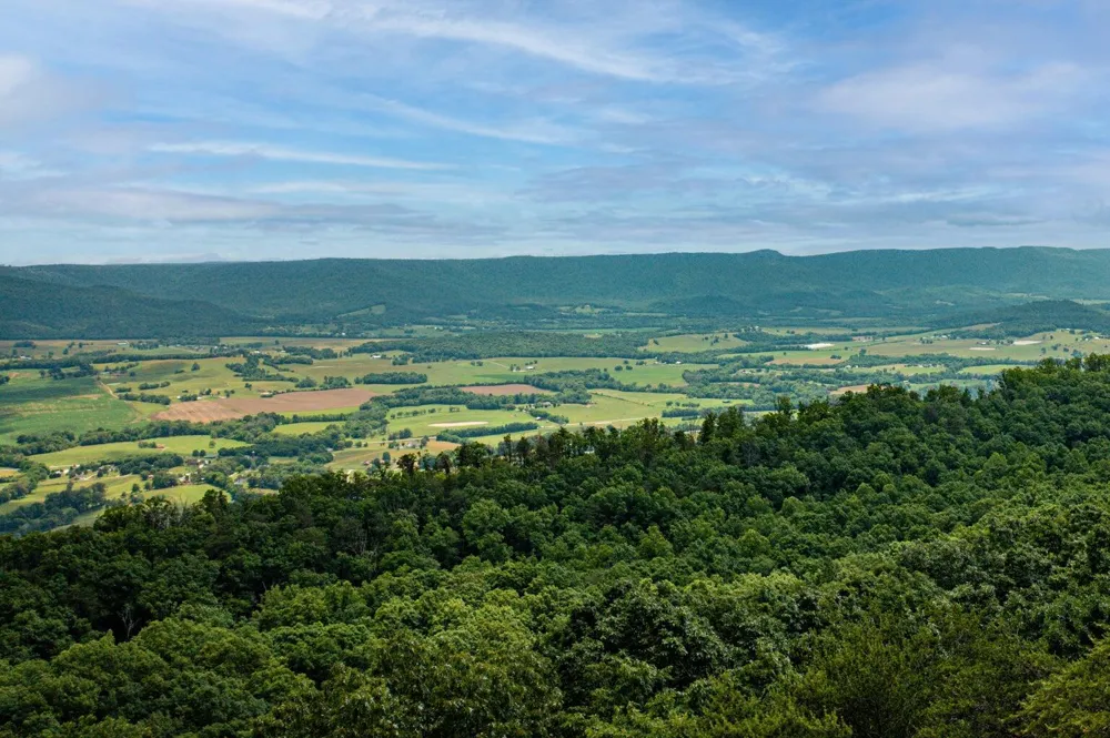 196 Big Bluff View Pikeville, TN 37367