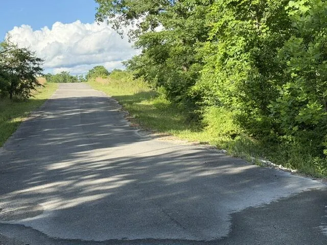 196 Big Bluff View Pikeville, TN 37367
