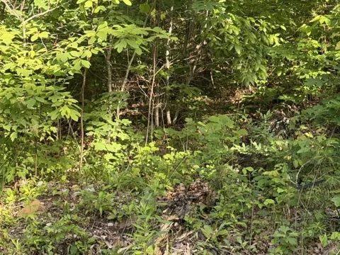 196 Big Bluff View