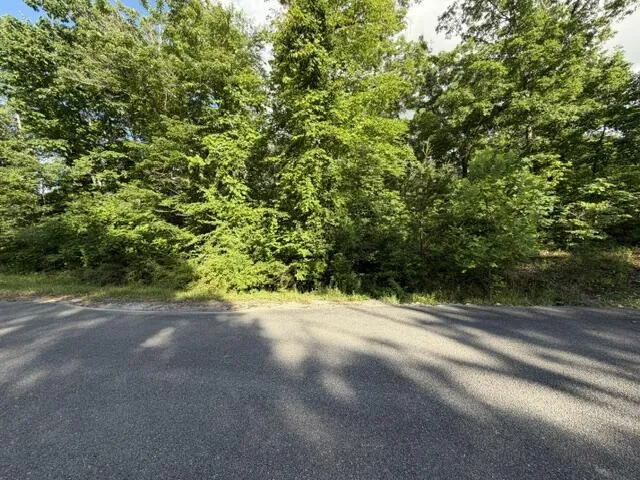 196 Big Bluff View Pikeville, TN 37367